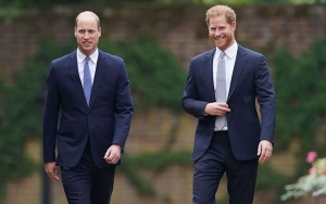 Prince Harry Will Only Return to Royal Duties With Prince William's Apology