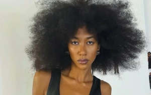 Aoki Lee Simmons Retracts Comments on Quitting Modeling Career