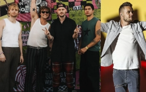 5 Seconds of Summer Members Pay Tribute to Late Friend Liam Payne