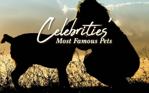 Celebrities' Most Famous Pets