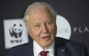 David Attenborough Rallies Against AI, 'Profoundly Disturbed' by Clone of His Voice