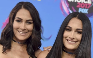 Nikki Bella Enjoys Napa Getaway With Twin Brie Garcia After Artem Chigvintsev Divorce Settlement