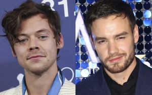 Harry Styles Retreats to 'Private' Beach After Attending Liam Payne's Funeral