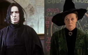 'Harry Potter' TV Series Has Found Its Professor Snape and McGonagall