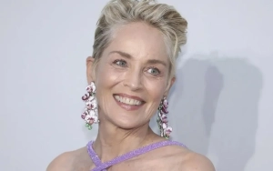 Sharon Stone Snarks About Being Cut From Blake Lively's 'Another Simple Favor'