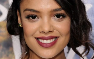 Before Thor: Tessa Thompson's Game-Changing Grey's Anatomy Arc