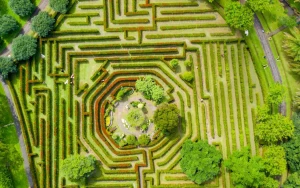 The Maze Runner Trilogy Thrives on Streaming Platforms in 2026