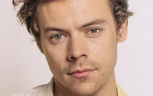 Harry Styles' Concert Residencies: A New Era for Live Music Fans