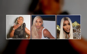NeNe Leakes' New Boyfriend Faces Past Rape, Assault Allegations