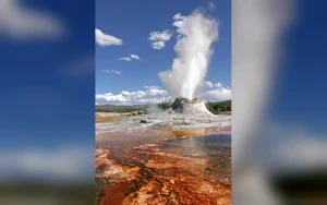 Yellowstone Spinoffs Face Production Delays Amid Expanding Franchise