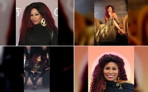 Chaka Khan Critiques Modern Pop Stars for Prioritizing Looks Over Vocals