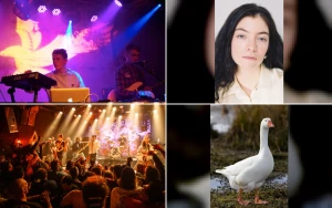 FORM Arcosanti Announces 2026 Festival Featuring Disclosure, Lorde & More