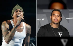 Inside Chris Brown’s Family: Meet His Four Children and Their Stories