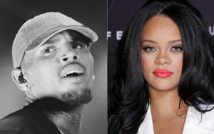 Chris Brown Seeks to Block Rihanna Assault Mention in Dog Bite Trial