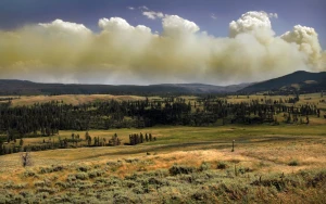 Yellowstone Franchise Expands with New 8-Part Series Coming Soon