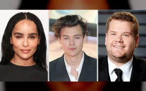 Zoë Kravitz Shows Off Engagement Ring at Harry Styles' Amsterdam Concert