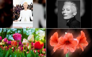 Tilda Swinton Warns Cinema Must Avoid Formulaic AI Traps