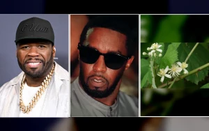50 Cent Reacts Unexpectedly to Diddy’s Leaked Sex Tape with Daphne Joy