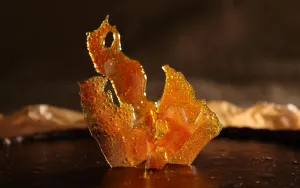 The Secret Science Behind Your Foods Golden Crust