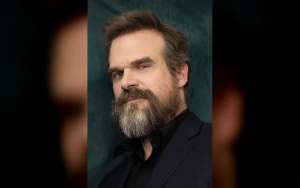 David Harbour Denies Harassment Claims Amid Anonymous Stranger Things Complaint