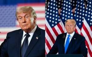 Stephen King Calls Out Donald Trump Over Controversial Reflecting Pool Renovation