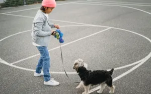 Walk Without the Tug: Loose Leash Training That Works