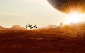 Coyote vs. Acme Triumphs with Prestigious Award Amid Widespread Critical Acclaim