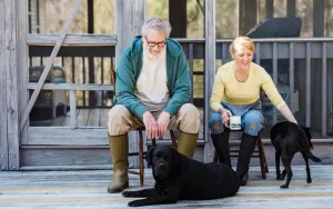 Senior Pet Care Guide: What Changes After Age 7
