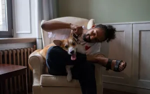 How to Groom Your Pet at Home Without the Drama