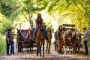 'The Walking Dead' Reveals First Look at Season 9 and Details of Time Jump