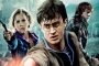 'Harry Potter' Fans Challenged to Binge-Watch All 10 Movies to Earn Money