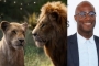 'The Lion King' Sequel Secures 'Moonlight' Director Barry Jenkins