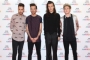 Liam Payne Has Talked to Louis Tomlinson About One Direction Reunion
