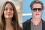 Angelina Jolie Accuses Brad Pitt of Seizing Control of Winery as Retaliation for Divorce