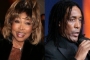 Tina Turner's Son Ronnie Battled Cancer Three Weeks Before He Died