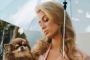 Paris Hilton Gutted by the Loss of Her 'Precious' Dog
