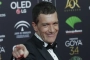 Antonio Banderas Celebrates Daughter Stella's Engagement