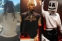 Lil Wayne, Chris Brown and Marshmello Accused of Misusing COVID-19 Relief Funds