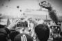 Kevin Parker's Orchid Synth Breaks Sales Records in First Year