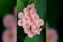Euphoria Composer Labrinth Announces Abrupt Exit Before Season 3 Debut