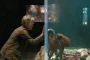 Netflix’s Remarkably Bright Creatures Trailer Stars Sally Field in New Mystery