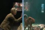 Netflix’s Remarkably Bright Creatures Trailer Highlights Unique Aquarium Drama