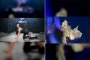 Lady Gaga’s The Mayhem Ball Tour Sets New Records with $419M Gross