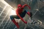 Spider-Man Brand New Day Hints at Exciting Hulk Twist Fans Expected