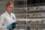 Prime Video’s Scarpetta Crime Thriller Adds Nine Stars for Season 2