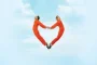 I Love You Phillip Morris Returns to Netflix Streaming After Years Off Platform