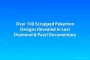 Over 100 Scrapped Pokémon Designs Revealed in Lost Diamond & Pearl Documentary