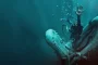 Whalefall Sparks Buzz with Its Unusual Whale Survival Thriller Concept