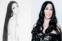Cher Sparks a Surge of Interest with Surprising Legacy and New Cultural Spotlight