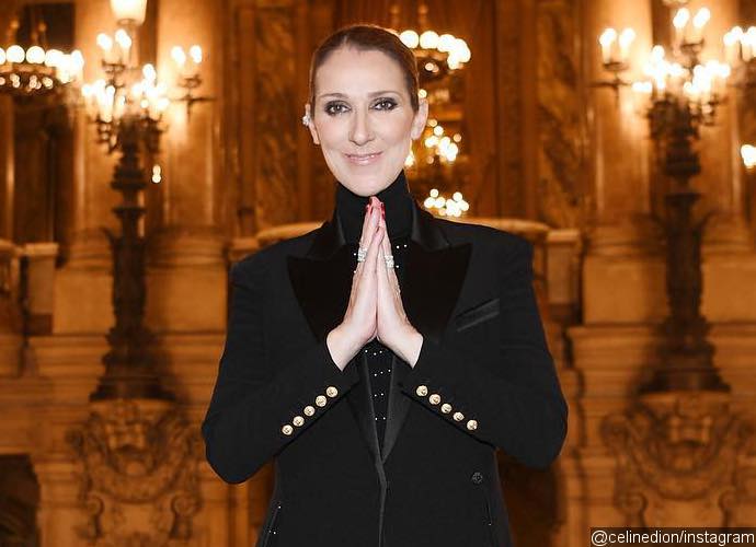 Celine Dion Cancels 14 Las Vegas Shows Due to Ear Surgery